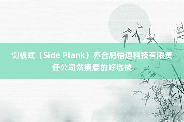 侧板式(Side Plank)亦合肥悟道科技有限责任公司然瘦腰的好选拔
