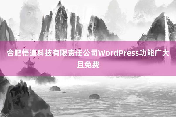 合肥悟道科技有限责任公司WordPress功能广大且免费